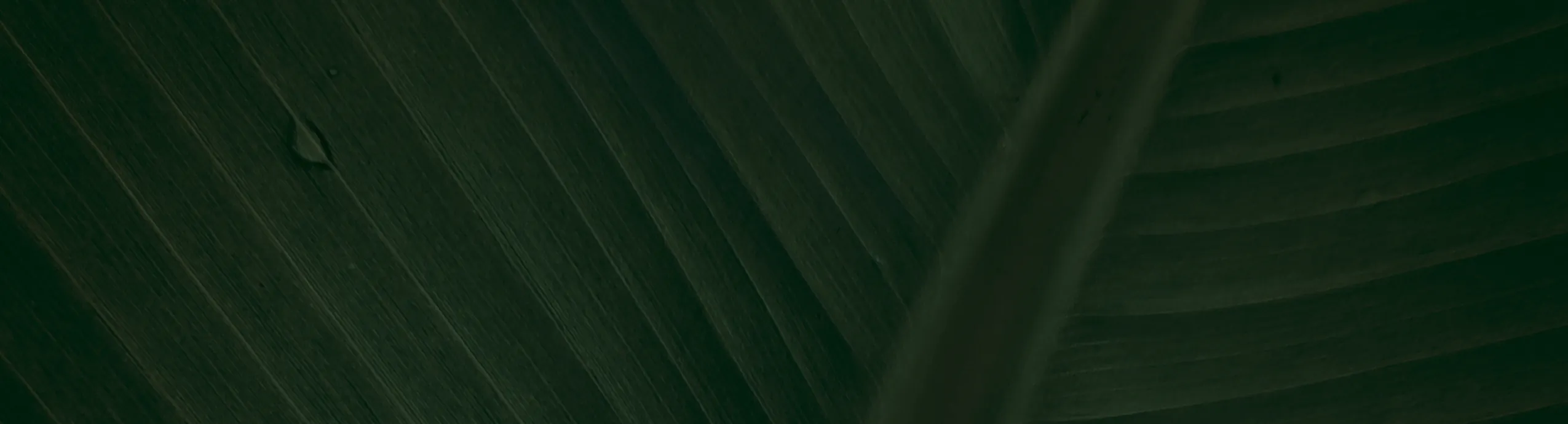 hero-image_optimized 50Pack Reusable Meal Prep Containers Microwave Safe Food Storage Containers